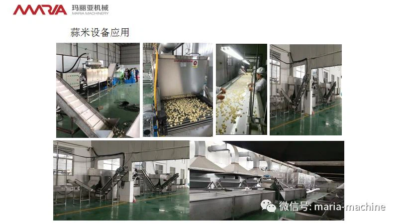 Garlic peeling machine1 Garlic peeling machine1