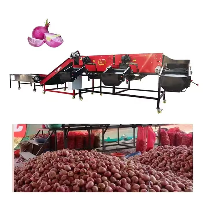 Factory Price Automatic Fruit Vegetable Sorting Apple Potato Tomato Orange Avocado Onion Grading Washing Size Weighing Machine