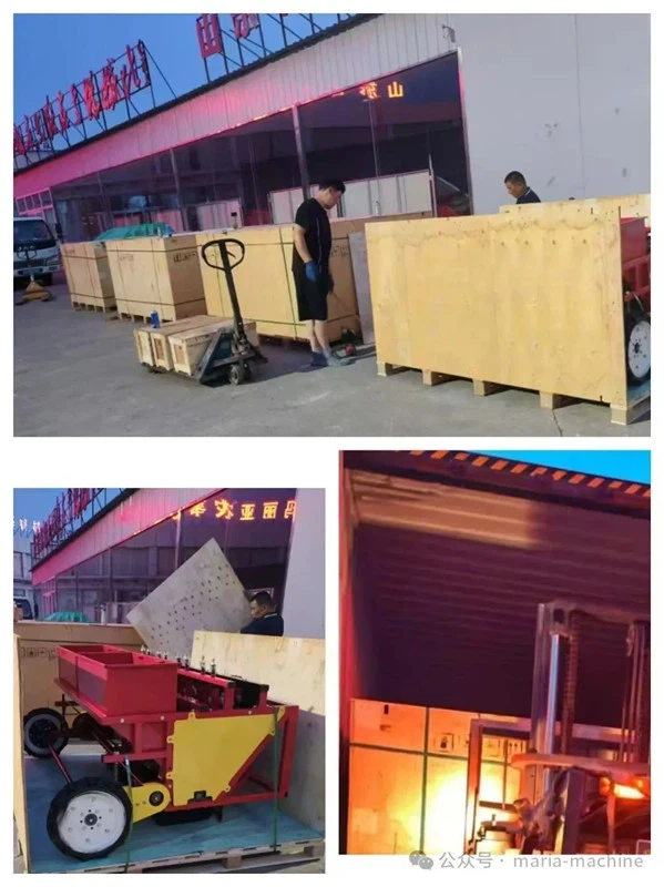 product-599-800 product-599-800