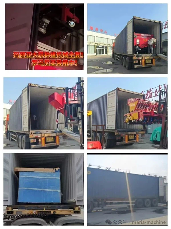 product-599-800 product-599-800