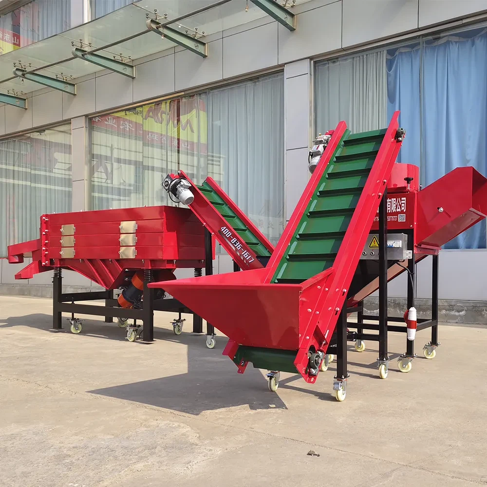 Mentol Bawang Putih Memecahkan Pemecahan dan Mesin Pemisahan Mentol Bawang Putih Membahagikan Bawang Bawang Bawang Bawang Bawang Bawah Bawang Putih dan Meningkatkan Cengkeh ke Saiz yang Berbeza