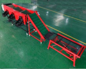 Mesin Pemilihan Buah dan Sayuran Sederhana